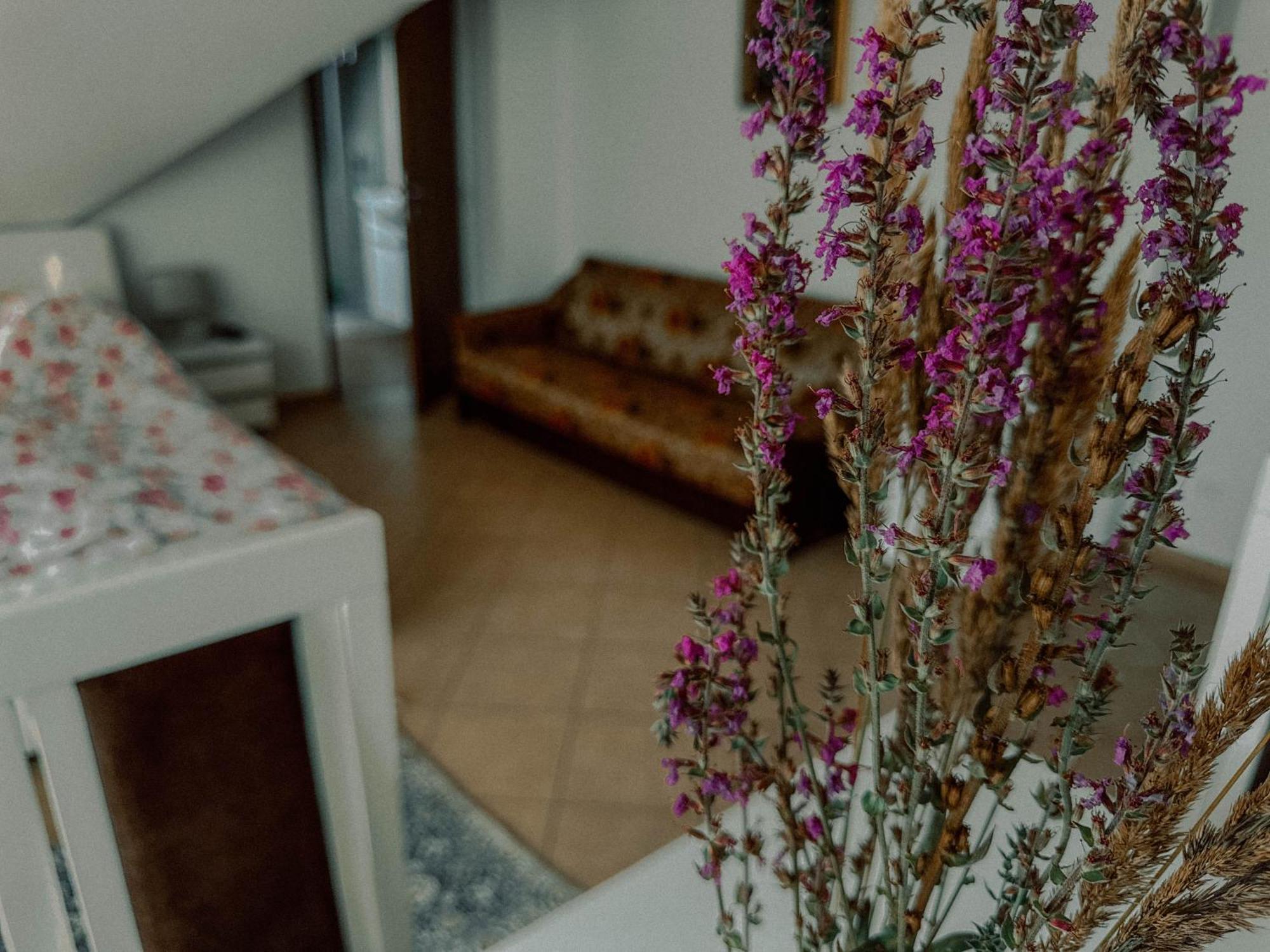 Apartamento Boho Przystan Łazy Exterior foto